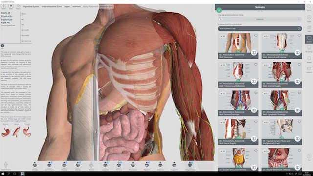 برنامج Anatomy Learning للكمبيوتر