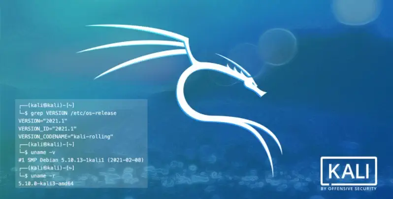 تحميل برنامج Kali Linux للكمبيوتر